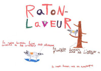 Le raton-laveur